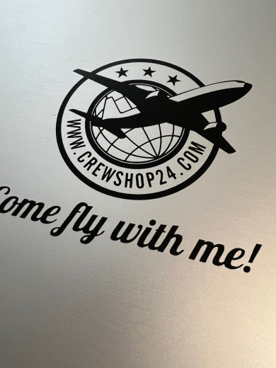 Flugzeugtrolley Einschub 45mm Alu CS24