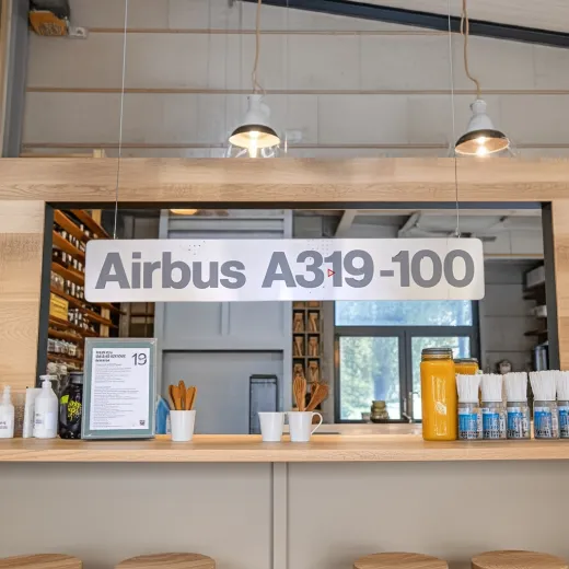 Germanwings A319-100 Cutout