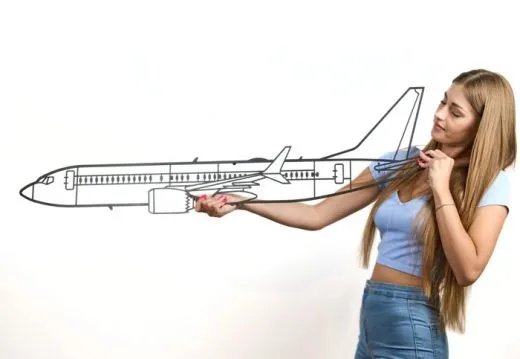 Boeing 737 MAX Wall-Art