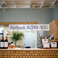 Germanwings A319-100 Cutout