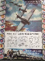 North American AT-6 1943 Size L