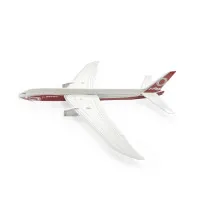 Boeing 777X-9 Glider