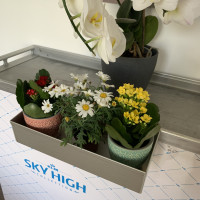 Trolley Rack / Bottle Holder